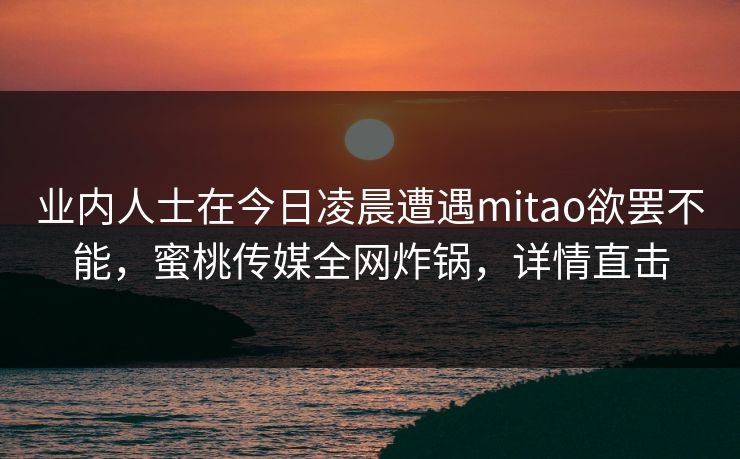业内人士在今日凌晨遭遇mitao欲罢不能,蜜桃传媒全网炸锅,详情直击 第1张 业内人士在今日凌晨遭遇mitao欲罢不能,蜜桃传媒全网炸锅,详情直击 第1张