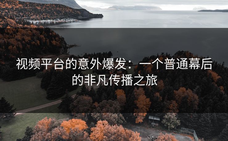 视频平台的意外爆发：一个普通幕后的非凡传播之旅  第1张
