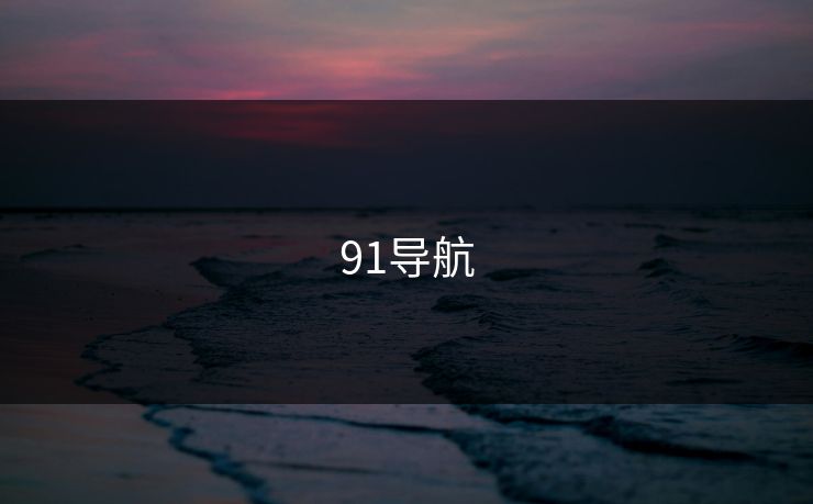 91导航