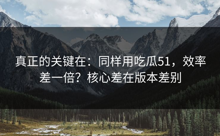 真正的关键在:同样用吃瓜51,效率差一倍?核心差在版本差别 真正的关键在:同样用吃瓜51,效率差一倍?核心差在版本差别